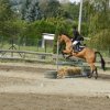 Babie Lato 2016